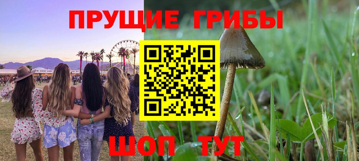 Псилоцибиновые грибы GOLDEN TEACHER  Вход с VPN  Кулебаки 